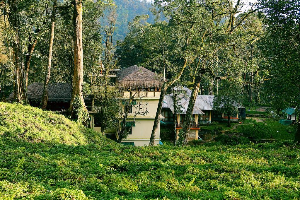 Deep Woods Resort Munnar Room photo