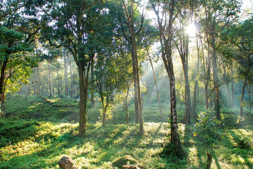 Deep Woods Resort Munnar Exterior photo