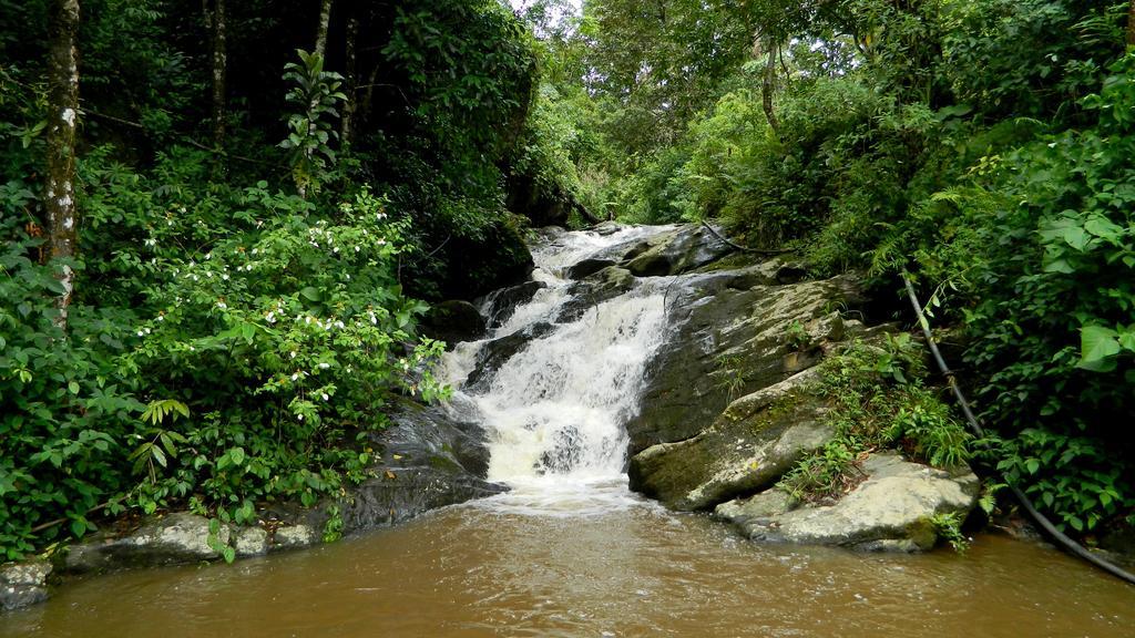 Deep Woods Resort Munnar Exterior photo